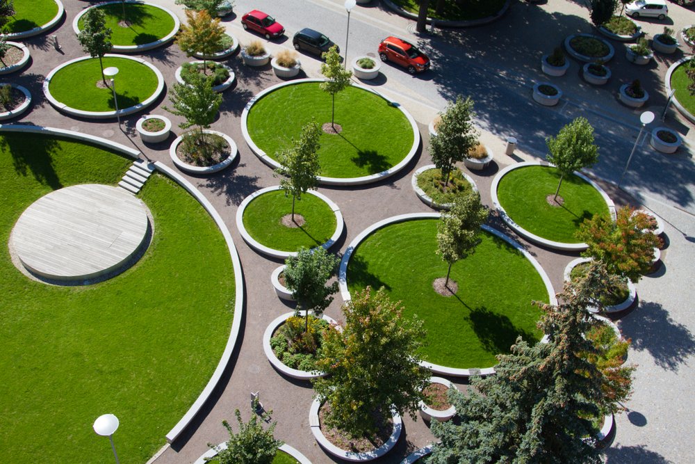 kocianka 1