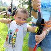 Informace k volbám do Senátu a zastupitelstev krajů (2)