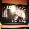ZAČALA VÝSTAVA VĚNOVANÁ JANU STEKLÍKOVI