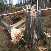 Informace k volbám do Senátu a zastupitelstev krajů (2)