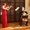 KONCERT ČESKÉHO SMYČCOVÉHO DUA 