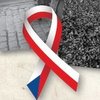 Informace k volbám do Senátu a zastupitelstev krajů (2)