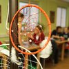 Informace k volbám do Senátu a zastupitelstev krajů (2)