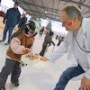 Informace k volbám do Senátu a zastupitelstev krajů (2)