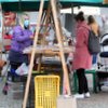 Informace k volbám do Senátu a zastupitelstev krajů (2)