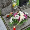 Informace k volbám do Senátu a zastupitelstev krajů (2)