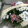 Informace k volbám do Senátu a zastupitelstev krajů (2)