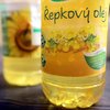 Informace k volbám do Senátu a zastupitelstev krajů (2)