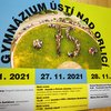 Informace k volbám do Senátu a zastupitelstev krajů (2)
