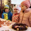 Informace k volbám do Senátu a zastupitelstev krajů (2)