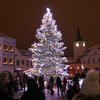 Informace k volbám do Senátu a zastupitelstev krajů (2)