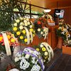 Informace k volbám do Senátu a zastupitelstev krajů (2)