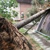 Informace k volbám do Senátu a zastupitelstev krajů (2)