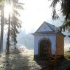 Informace k volbám do Senátu a zastupitelstev krajů (2)