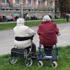 Informace k volbám do Senátu a zastupitelstev krajů (2)