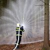 Informace k volbám do Senátu a zastupitelstev krajů (2)