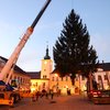 Informace k volbám do Senátu a zastupitelstev krajů (2)
