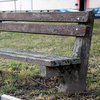 Informace k volbám do Senátu a zastupitelstev krajů (2)