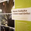 Informace k volbám do Senátu a zastupitelstev krajů (2)