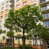 Informace k volbám do Senátu a zastupitelstev krajů (2)