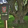 Informace k volbám do Senátu a zastupitelstev krajů (2)