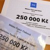 Informace k volbám do Senátu a zastupitelstev krajů (2)