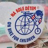 Informace k volbám do Senátu a zastupitelstev krajů (2)