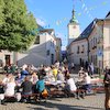 Informace k volbám do Senátu a zastupitelstev krajů (2)