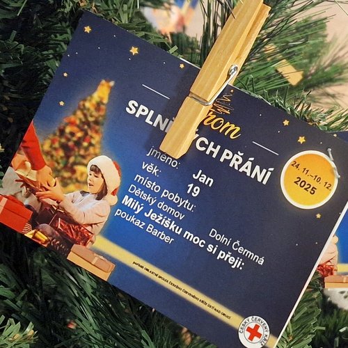 Strom splněných přání se vrací do Ústí nad Orlicí