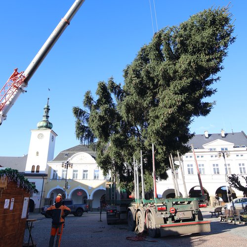 Vánoční strom dorazil na náměstí 