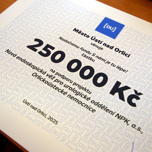 Informace k volbám do Senátu a zastupitelstev krajů (2)