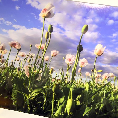 V mrazivých dnech zahřeje Příroda v Malé scéně