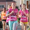 Informace k volbám do Senátu a zastupitelstev krajů (2)