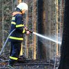 Informace k volbám do Senátu a zastupitelstev krajů (2)