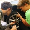 Informace k volbám do Senátu a zastupitelstev krajů (2)