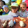 Informace k volbám do Senátu a zastupitelstev krajů (2)