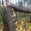 Informace k volbám do Senátu a zastupitelstev krajů (2)