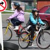 Informace k volbám do Senátu a zastupitelstev krajů (2)