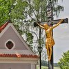 Informace k volbám do Senátu a zastupitelstev krajů (2)