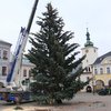 Informace k volbám do Senátu a zastupitelstev krajů (2)