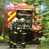 Informace k volbám do Senátu a zastupitelstev krajů (2)