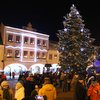 Informace k volbám do Senátu a zastupitelstev krajů (2)