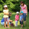 Informace k volbám do Senátu a zastupitelstev krajů (2)