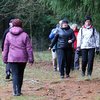 Informace k volbám do Senátu a zastupitelstev krajů (2)