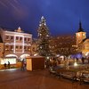 Informace k volbám do Senátu a zastupitelstev krajů (2)