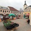 Informace k volbám do Senátu a zastupitelstev krajů (2)