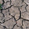 Informace k volbám do Senátu a zastupitelstev krajů (2)