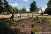 IMG5093