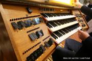 IMG7219