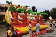 IMG0618